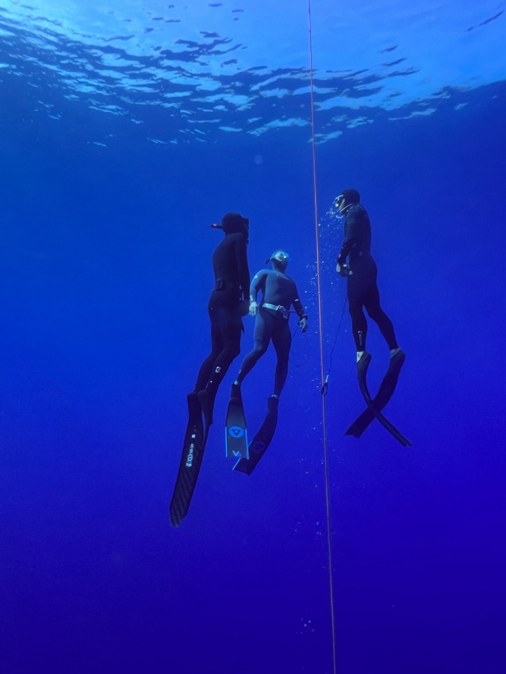 自由潛水員課程